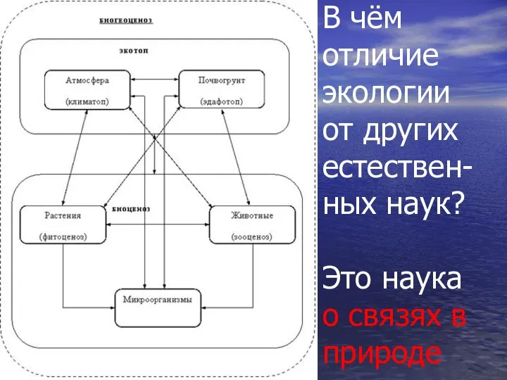 В чём отличие экологии от других естествен-ных наук? Это наука о связях в природе