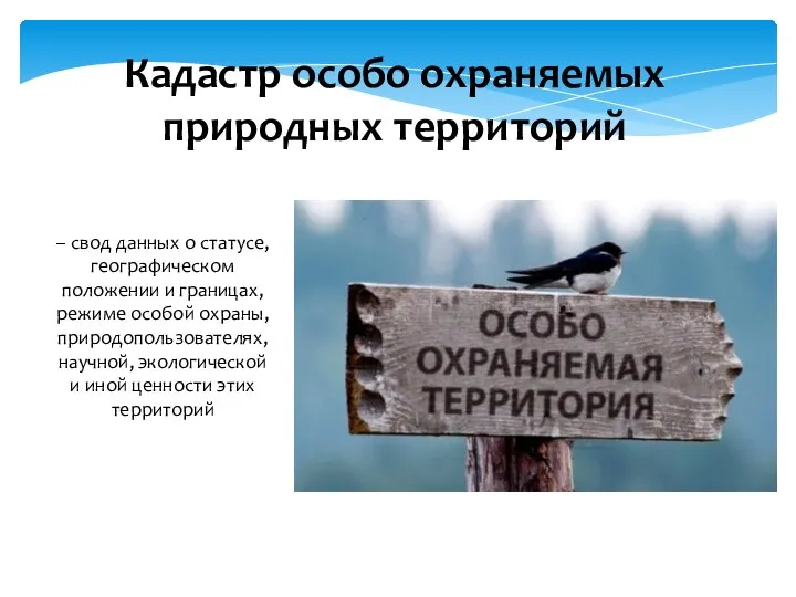 Кадастр особо охраняемых природных территорий – свод данных о статусе, географическом