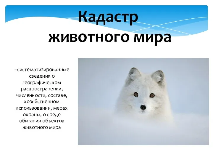 Кадастр животного мира –систематизированные сведения о географическом распространении, численности, составе, хозяйственном