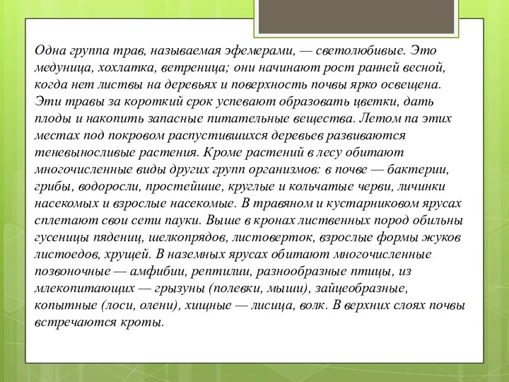 Одна группа трав, называемая эфе­мерами, — светолюбивые. Это медуница, хохлатка, ветреница;