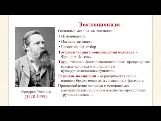 Эволюционизм Основные механизмы эволюции: Изменчивость Наследственность Естественный отбор Трудовая теория происхождения