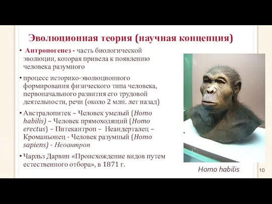 Эволюционная теория (научная концепция) Антропогенез - часть биологической эволюции, которая привела