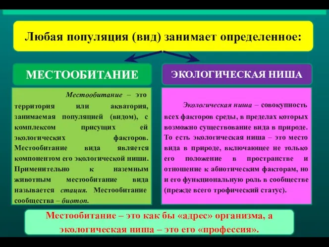 Любая популяция (вид) занимает определенное: МЕСТООБИТАНИЕ ЭКОЛОГИЧЕСКАЯ НИША Местообитание – это