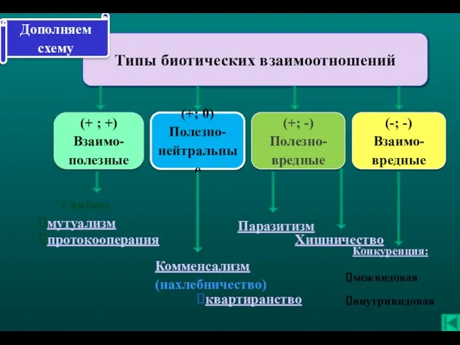 Типы биотических взаимоотношений (+ ; +) Взаимо- полезные (+; 0) Полезно-нейтральные