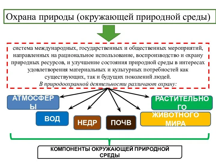 система международных, государственных и общественных мероприятий, направленных на рациональное использование, воспроизводство