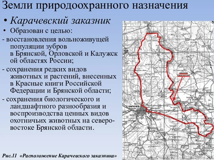 Земли природоохранного назначения Карачевский заказник Образован с целью: - восстановления вольноживущей