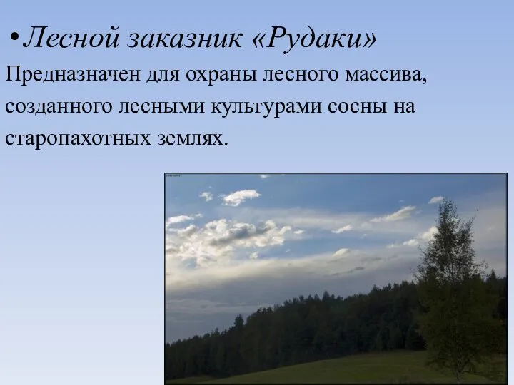 Лесной заказник «Рудаки» Предназначен для охраны лесного массива, созданного лесными культурами сосны на старопахотных землях.