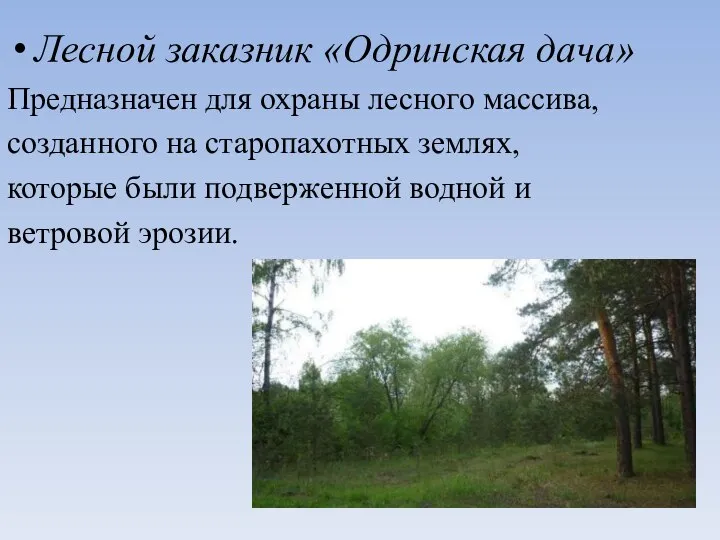 Лесной заказник «Одринская дача» Предназначен для охраны лесного массива, созданного на