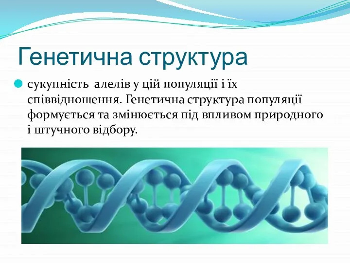 Генетична структура сукупність алелів у цій популяції і їх співвідношення. Генетична