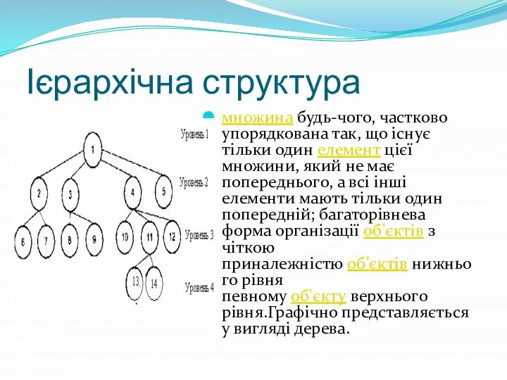 Ієрархічна структура множина будь-чого, частково упорядкована так, що існує тільки один