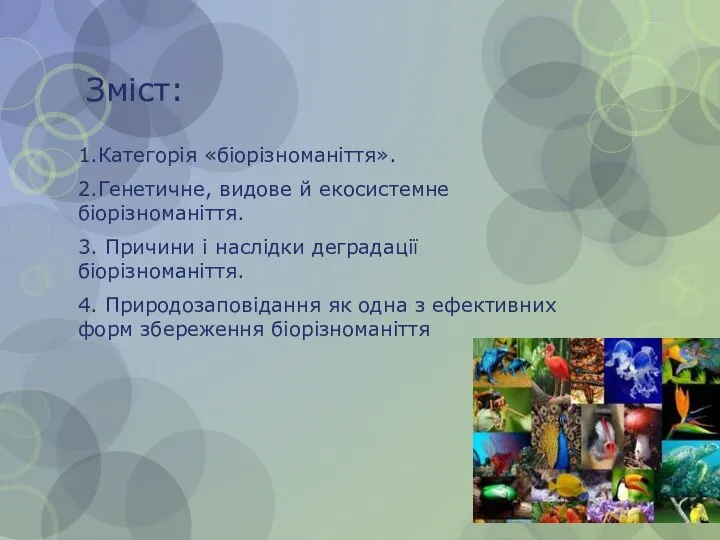 Зміст: 1.Категорія «біорізноманіття». 2.Генетичне, видове й екосистемне біорізноманіття. 3. Причини і