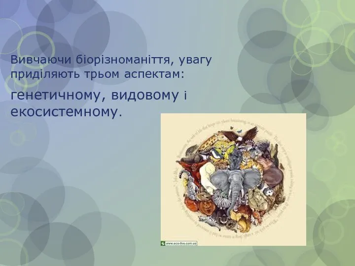 Вивчаючи біорізноманіття, увагу приділяють трьом аспектам: генетичному, видовому і екосистемному.