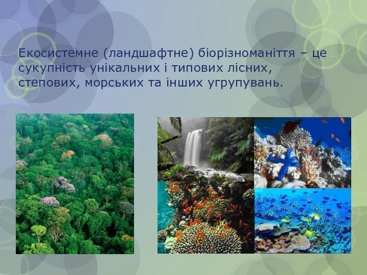 Екосистемне (ландшафтне) біорізноманіття – це сукупність унікальних і типових лісних, степових, морських та інших угрупувань.