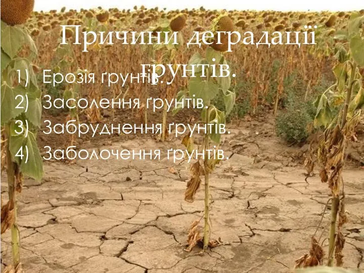 Ерозія ґрунтів. Засолення ґрунтів. Забруднення ґрунтів. Заболочення ґрунтів. Причини деградації грунтів.