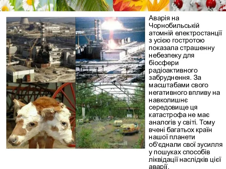 Аварія на Чорнобильській атомній електростанції з усією гостротою показала страшенну небезпеку