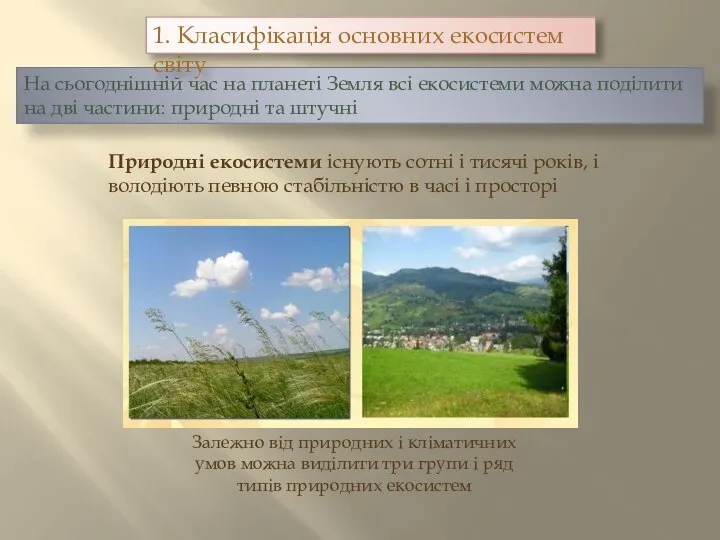 На сьогоднішній час на планеті Земля всі екосистеми можна поділити на