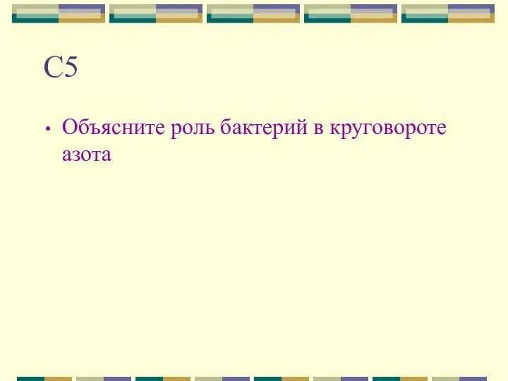 С5 Объясните роль бактерий в круговороте азота