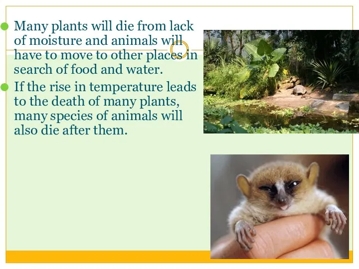 Many plants will die from lack of moisture and animals will