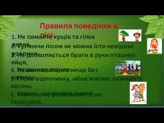 Правила поведінки в лісі: 1. Не ламайте кущів та гілок дерев.