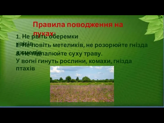 Правила поводження на луках: 1. Не рвіть оберемки квітів 2. Не