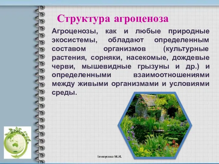 Структура агроценоза Агроценозы, как и любые природные экосистемы, обладают определенным составом