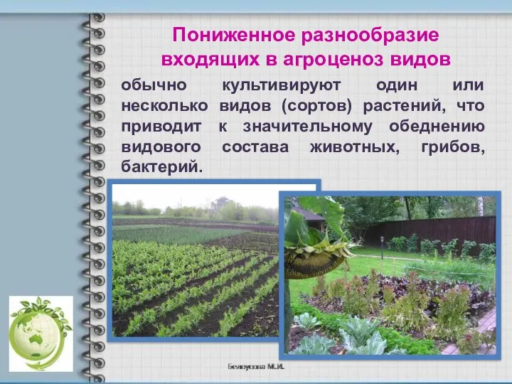 Пониженное разнообразие входящих в агроценоз видов обычно культивируют один или несколько