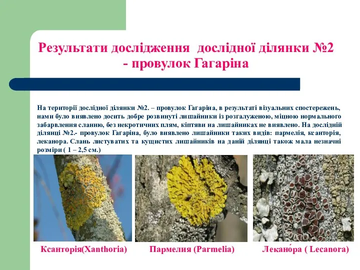 Результати дослідження дослідної ділянки №2 - провулок Гагаріна На території дослідної