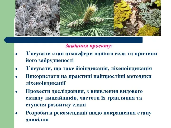 Завдання проекту: З’ясувати стан атмосфери нашого села та причини його забрудненості