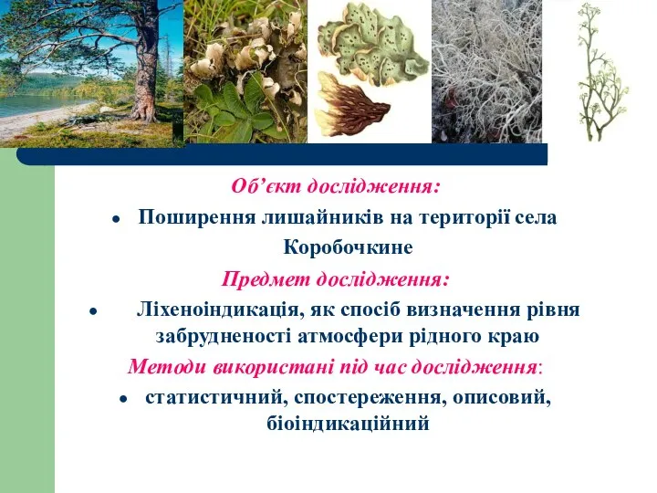 Об’єкт дослідження: Поширення лишайників на території села Коробочкине Предмет дослідження: Ліхеноіндикація,