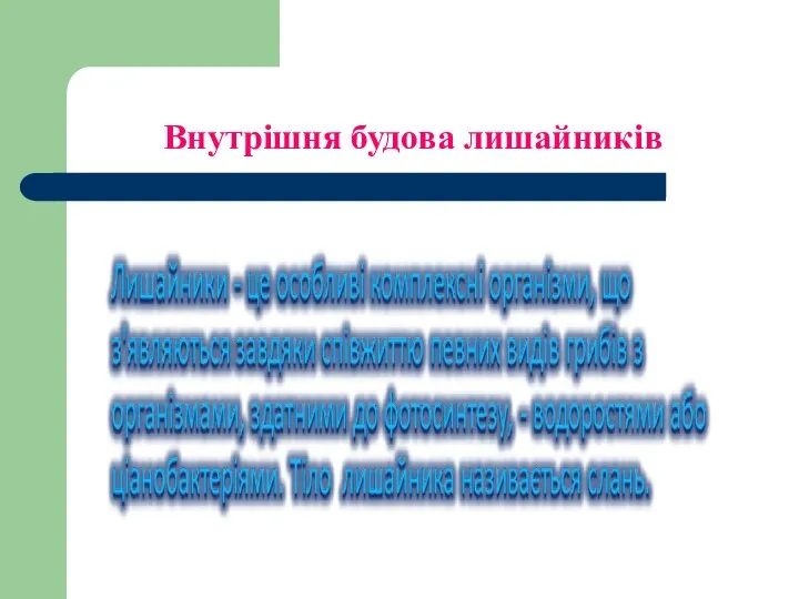 Внутрішня будова лишайників