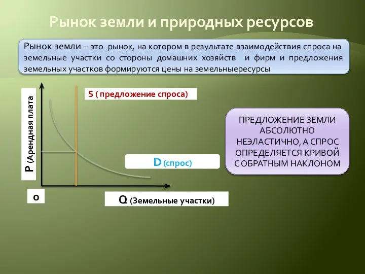 Рынок земли и природных ресурсов Рынок земли – это рынок, на