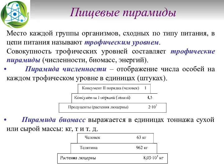 Пищевые пирамиды Место каждой группы организмов, сходных по типу питания, в