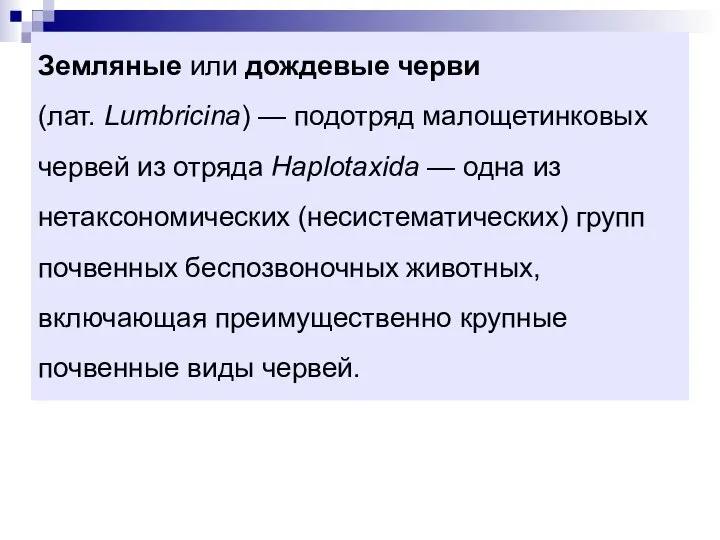 Земляные или дождевые черви (лат. Lumbricina) — подотряд малощетинковых червей из