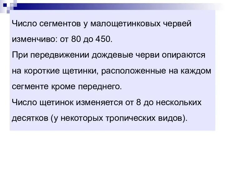 Число сегментов у малощетинковых червей изменчиво: от 80 до 450. При