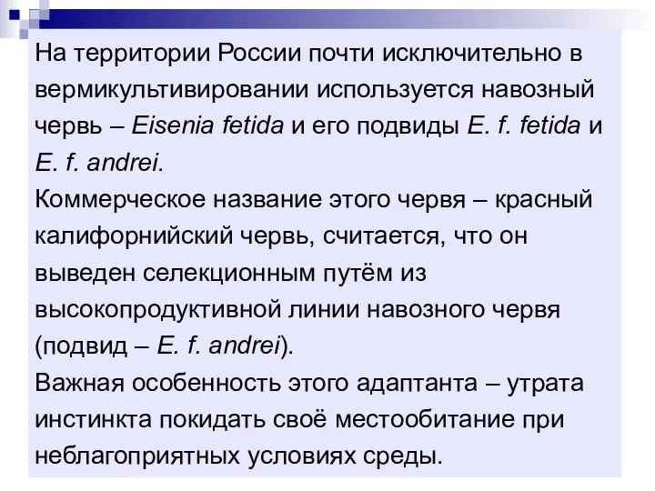 На территории России почти исключительно в вермикультивировании используется навозный червь –