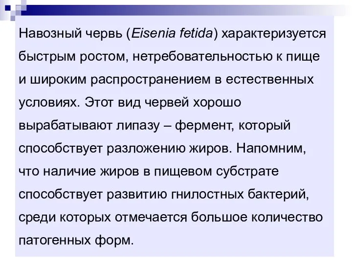 Навозный червь (Eisenia fetida) характеризуется быстрым ростом, нетребовательностью к пище и