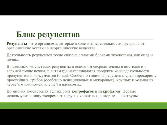 Блок редуцентов Редуценты – это организмы, которые в ходе жизнедеятельности превращают