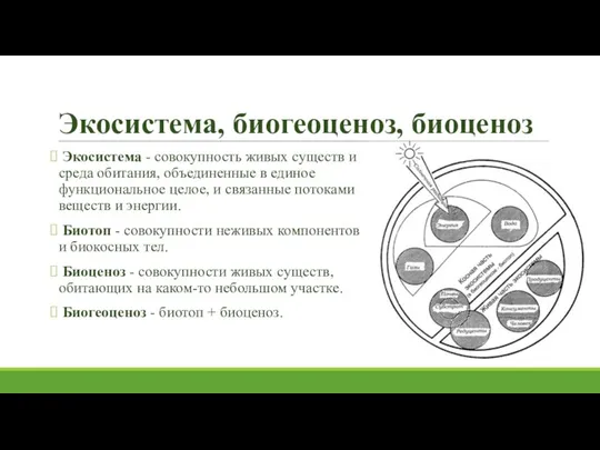 Экосистема, биогеоценоз, биоценоз Экосистема - совокупность живых существ и среда обитания,