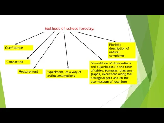 Methods of school forestry. Confidence Comparison Measurement Experiment, as a way