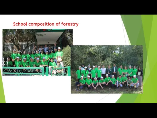 School composition of forestry