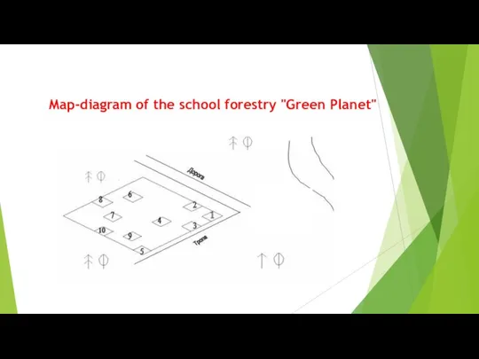 Map-diagram of the school forestry "Green Planet"