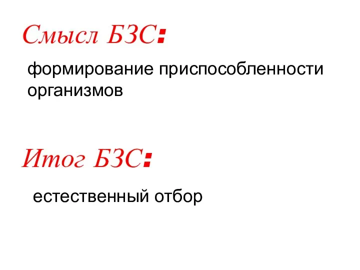 Смысл БЗС: формирование приспособленности организмов Итог БЗС: естественный отбор