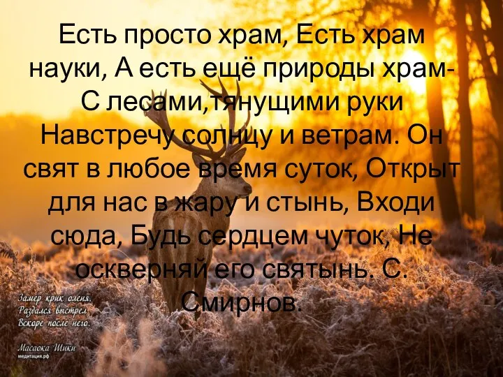 Есть просто храм, Есть храм науки, А есть ещё природы храм-