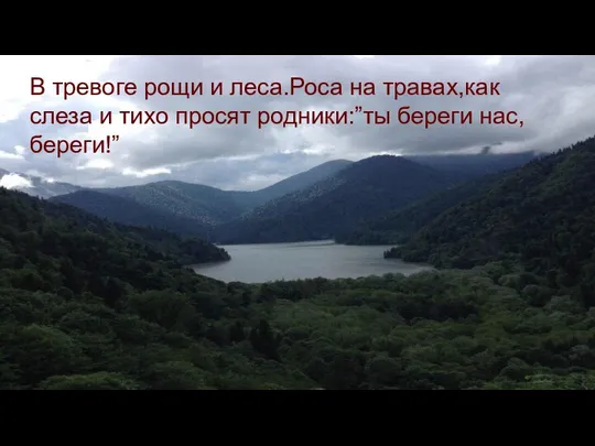 В тревоге рощи и леса.Роса на травах,как слеза и тихо просят родники:”ты береги нас,береги!”