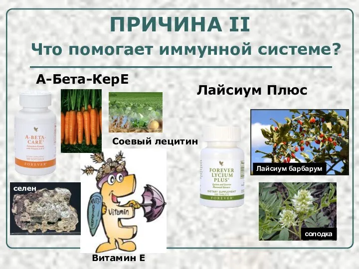 Что помогает иммунной системе? Лайсиум барбарум солодка А-Бета-КерЕ Лайсиум Плюс ПРИЧИНА