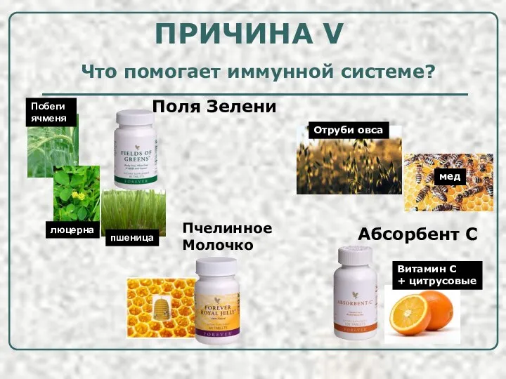 Поля Зелени Побеги ячменя люцерна пшеница Отруби овса Витамин C +
