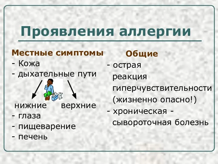 Проявления аллергии Местные симптомы - Кожа - дыхательные пути нижние верхние