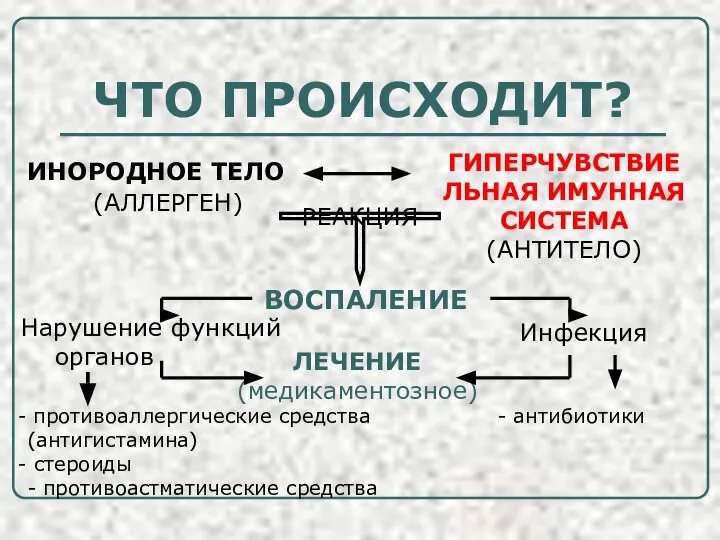 ЧТО ПРОИСХОДИТ? ИНОРОДНОЕ ТЕЛО (АЛЛЕРГЕН) ГИПЕРЧУВСТВИЕЛЬНАЯ ИМУННАЯ СИСТЕМА (АНТИТЕЛО) РЕАКЦИЯ ВОСПАЛЕНИЕ