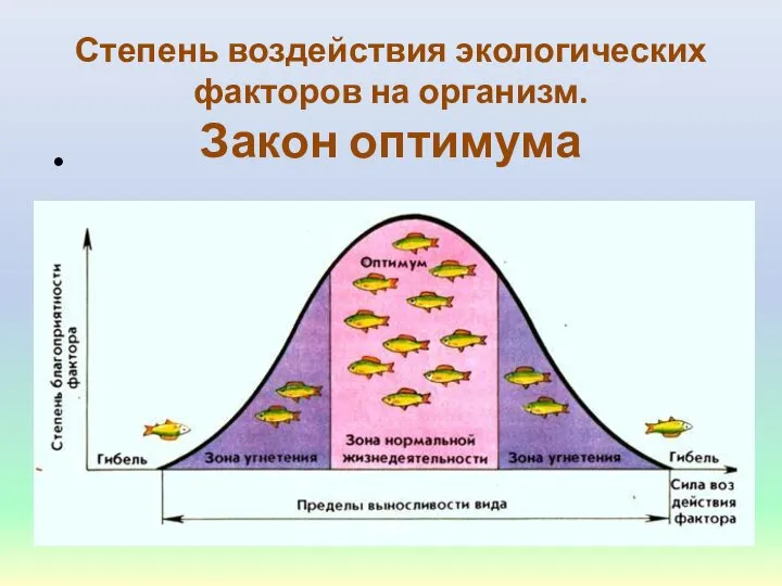 Степень воздействия экологических факторов на организм. Закон оптимума