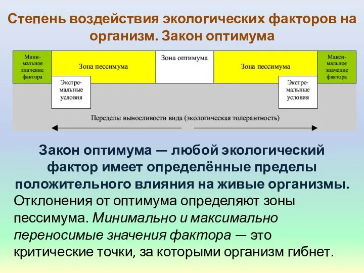 Степень воздействия экологических факторов на организм. Закон оптимума Закон оптимума —